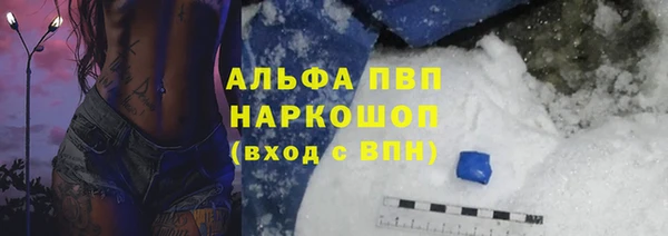 индика Ладушкин