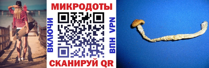 сколько стоит  Спас-Клепики  Галлюциногенные грибы Psilocybine cubensis 